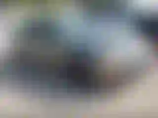 Vehicle Image- 2010 Chevrolet Malibu