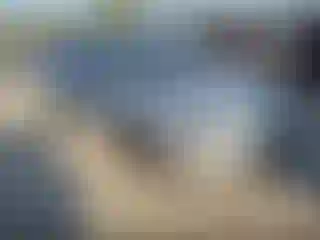 Vehicle Image- 2018 Chevrolet Malibu