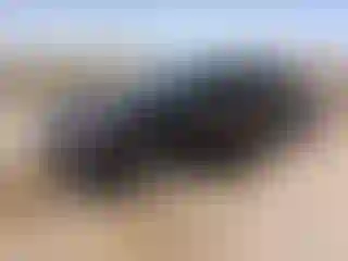 Vehicle Image- 2021 Chevrolet Malibu
