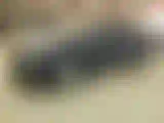 Vehicle Image- 2018 Chevrolet Malibu