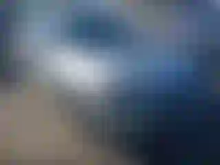 Vehicle Image- 2020 Chevrolet Malibu