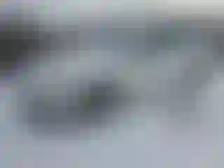 Vehicle Image- 2021 Chevrolet Malibu