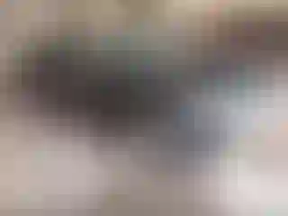 Vehicle Image- 2016 Chevrolet Malibu