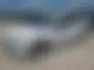 Vehicle Image- 2023 Chevrolet Malibu