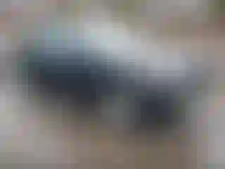 Vehicle Image- 2019 Chevrolet Malibu