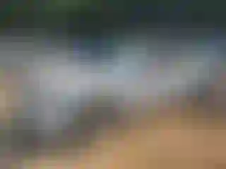 Vehicle Image- 2024 Chevrolet Malibu