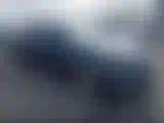 Vehicle Image- 2019 Chevrolet Malibu