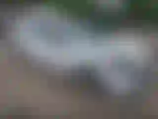 Vehicle Image- 2022 Chevrolet Malibu