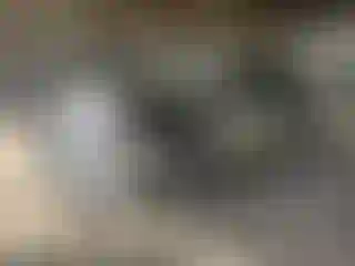Vehicle Image- 2024 Chevrolet Malibu