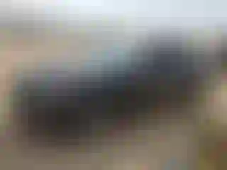 Vehicle Image- 2017 Chevrolet Malibu