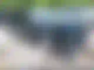 Vehicle Image- 2017 Chevrolet Malibu