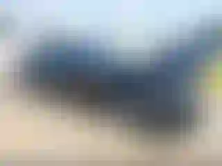 Vehicle Image- 2020 Chevrolet Malibu