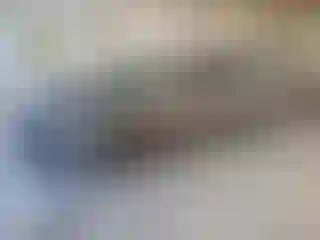 Vehicle Image- 2011 Chevrolet Malibu