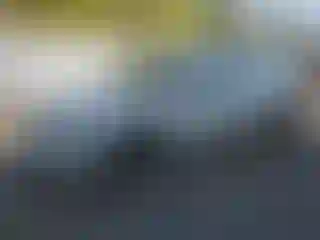 Vehicle Image- 2010 Chevrolet Malibu