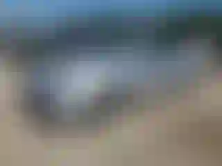 Vehicle Image- 2021 Chevrolet Malibu