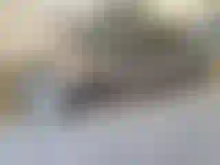 Vehicle Image- 2023 Chevrolet Malibu