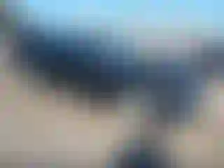Vehicle Image- 2024 Chevrolet Malibu