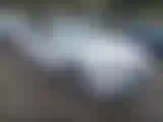 Vehicle Image- 2021 Chevrolet Malibu