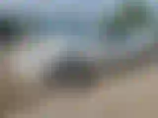 Vehicle Image- 2010 Chevrolet Malibu