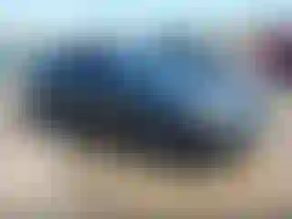 Vehicle Image- 2018 Chevrolet Malibu