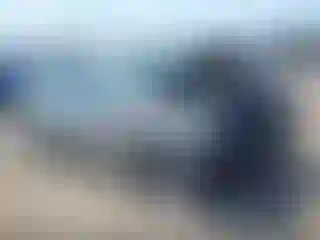 Vehicle Image- 2019 Chevrolet Malibu