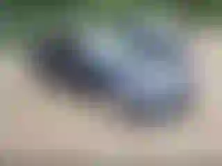 Vehicle Image- 2021 Chevrolet Malibu