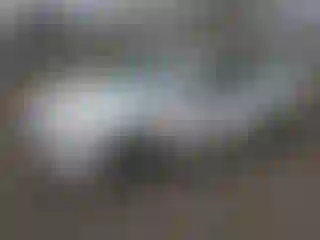 Vehicle Image- 2022 Chevrolet Malibu