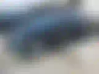Vehicle Image- 2024 Chevrolet Malibu