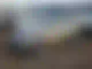 Vehicle Image- 2022 Chevrolet Malibu
