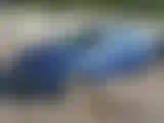 Vehicle Image- 2023 Chevrolet Malibu