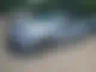 Vehicle Image- 2018 Chevrolet Malibu