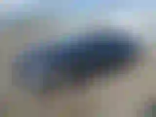 Vehicle Image- 2020 Chevrolet Malibu