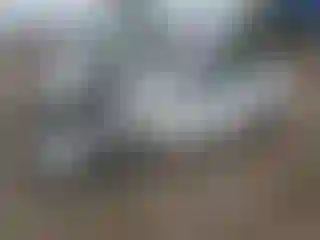 Vehicle Image- 2022 Chevrolet Malibu