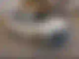 Vehicle Image- 2022 Chevrolet Malibu