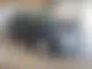 Vehicle Image- 2018 Chevrolet Malibu