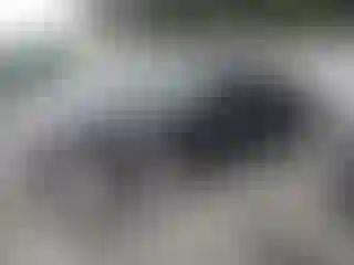 Vehicle Image- 2020 Chevrolet Malibu