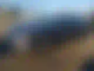 Vehicle Image- 2025 Chevrolet Malibu