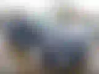 Vehicle Image- 2019 Chevrolet Malibu