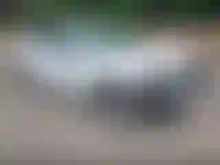 Vehicle Image- 2019 Chevrolet Malibu