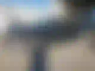 Vehicle Image- 2020 Chevrolet Malibu