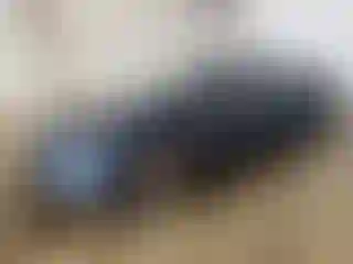 Vehicle Image- 2021 Chevrolet Malibu