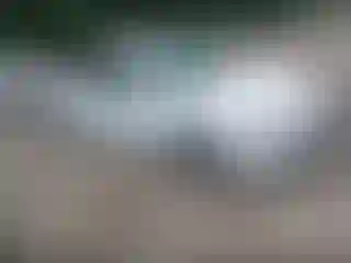 Vehicle Image- 2023 Chevrolet Malibu