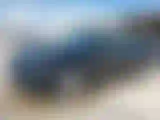 Vehicle Image- 2023 Chevrolet Malibu