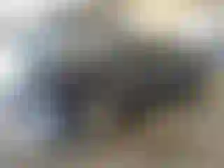 Vehicle Image- 2023 Chevrolet Malibu