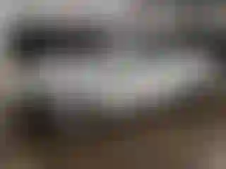 Vehicle Image- 2025 Chevrolet Malibu