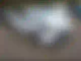 Vehicle Image- 2019 Chevrolet Malibu