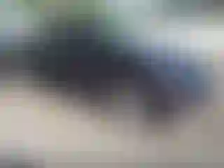 Vehicle Image- 2020 Chevrolet Malibu