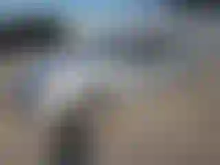 Vehicle Image- 2020 Chevrolet Malibu
