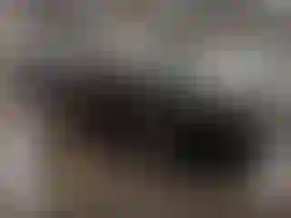 Vehicle Image- 2021 Chevrolet Malibu