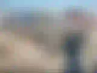 Vehicle Image- 2022 Chevrolet Malibu